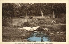VINTAGE POSTCARD Carolles a Corner of the Valley of Lude the small cross Cows