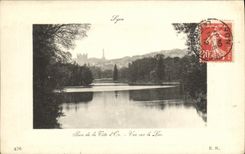 VINTAGE POSTCARD Lyon Park of the Head D gold Seen on the lake