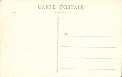 VINTAGE POSTCARD Lyon the Rhone Lion