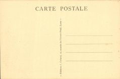 VINTAGE POSTCARD Lyon the place of the composts