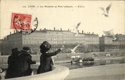 VINTAGE POSTCARD Lyon Gulls with the Bridge Lafayette Birds