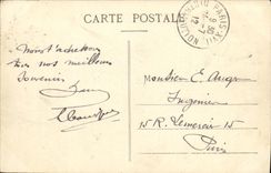 VINTAGE POSTCARD Lyon Gulls with the Bridge Lafayette Birds