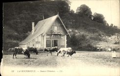 VINTAGE POSTCARD Bourboule Source Clemence Vaches