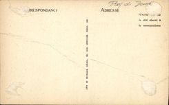 VINTAGE POSTCARD Bourboule Cascades Of the Canopy