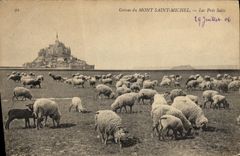 CPA La Mont Saint Michel Les Pres Sales Moutons