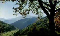 CPM Les Vosges Pittoresques La route des Cretes
