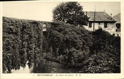 VINTAGE POSTCARD Betharram the bridge of Ivy Doors