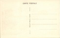 VINTAGE POSTCARD Betharram the bridge of Ivy Doors