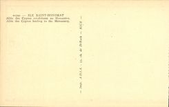 Isla Honorat de la POSTAL de la VENDIMIA Saint ido de los cisnes que llevan al monasterio