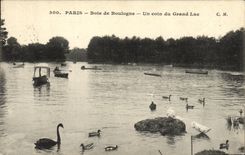 CPA Paris Bois de Boulogne Un Coin du Grand Lac