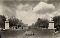 CPM Paris Chevaux de Marly Avenue des Champs Elysees