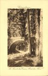 CPA Gerardmer Saut des Cuves Pont des fees