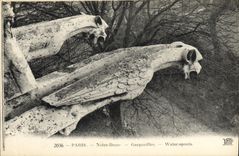 CPA Paris Notre Dame Gargouilles