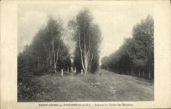 CPA Saint Leger en YVelines Avenue du Chalet des Bruyeres