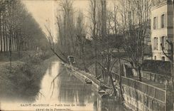 VINTAGE POSTCARD Holy Maurice Small Arm of the Marne Downstream of the footbridge