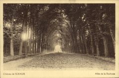 VINTAGE POSTCARD Castle of Seals Gone of the Duchess