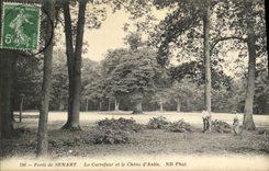 VINTAGE POSTCARD Drill of Senart the crossroads and the oak D Antin