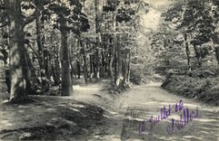 VINTAGE POSTCARD Saint Cloud Parc of Alley of Marnes Route of the white Gate to the lawn of Combleval de Marnes has Garche