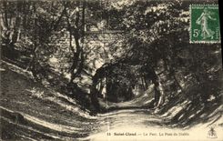 VINTAGE POSTCARD St Cloud the Park the Bridge of Devil