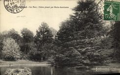 VINTAGE POSTCARD Saint Cloud the Park Cedar Plants by Marie Antoinette