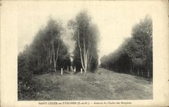 CPA Saint Leger en Yvelines Avenue du Chalet des Bruyeres