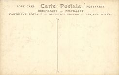 VINTAGE POSTCARD Holy Cloud the Park the Basin of the 24 jets and ruins of the palate