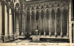 VINTAGE POSTCARD Paris Church Notre Dame northern Gallery Tower