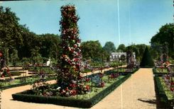 MODERN CARD Paris Trifle the Rosery