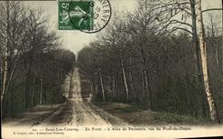 CPA Saint Leu Taverny L allee du perimetre vue du Pont au diable