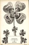CPA Souvenir Porte Bonheur de Sevres Trefle