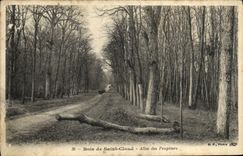 VINTAGE POSTCARD Holy Cloud Wood Gone of the Poplars