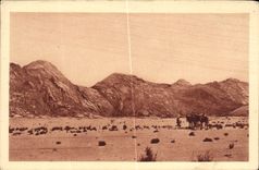 CPA Entree des gorges de Tesnon