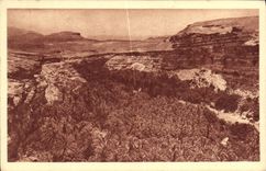 CPA Aures Palmeraie de Roufi