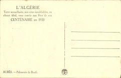 CPA Aures Palmeraie de Roufi