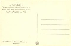 CPA Tlemcen Bois des oliviers et tombeaux