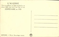CPA Hippone Musee Sarcophage romain