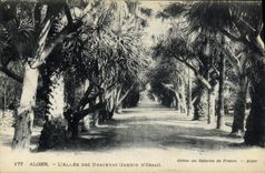 POSTAL Argel L de la VENDIMIA ida de prueba del jardin D de Dracenas