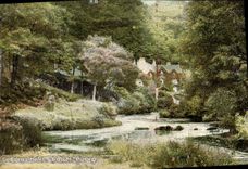 Capelo Gurig del hotel de Cobden S de la POSTAL de la VENDIMIA