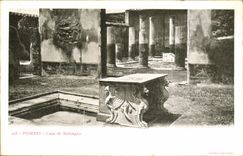 La POSTAL Pompeya de la VENDIMIA puso a di Meleagro