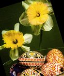 CPM Vesele velikonoce Oeufs Fleurs Tchequie