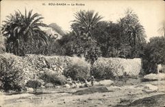 CPA Bou Saada La Riviere