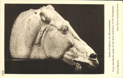 VINTAGE POSTCARD Horse off Selene the Moon goodess From the North angle off the East Pediment off the Parthenon British Museum