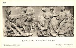 VINTAGE POSTCARD Cattle for Sacrifice Parthenon Frieze South Side British Museum