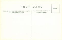 VINTAGE POSTCARD Cattle for Sacrifice Parthenon Frieze South Side British Museum