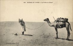 VINTAGE POSTCARD Scenes And Types the Prayer of Serves Camel