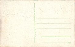 VINTAGE POSTCARD Der Beichensee MIT Hilsenfirsen