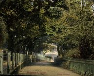 VINTAGE POSTCARD Shanklin Isle off Wight China Which occurred