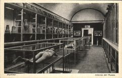 Museo de Pompeya Interno LED de la POSTAL de la VENDIMIA