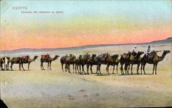 POSTAL Egipto Caravane de la VENDIMIA de los camellos con servicios