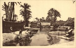 CPA Marrakech Un Coin De La Palmeraie